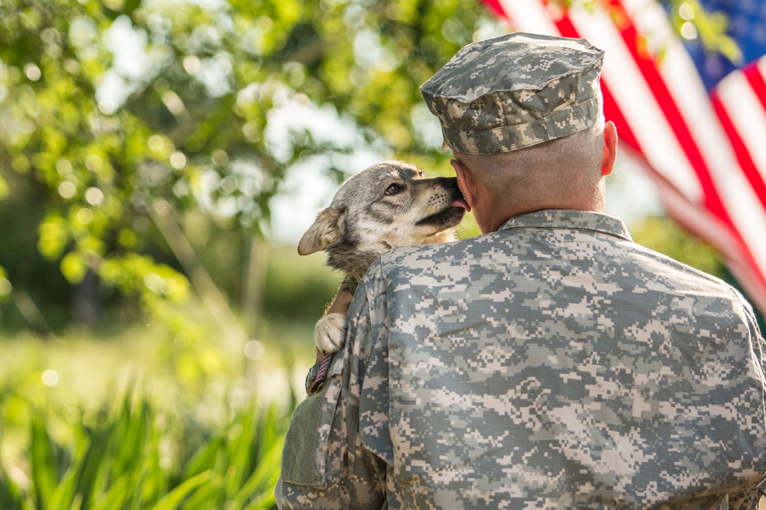 Soldier with dog